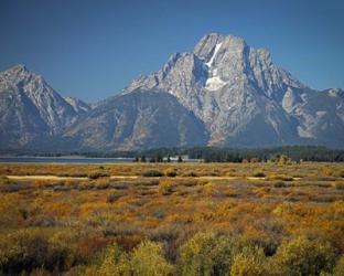 Tetons IV | Obraz na stenu