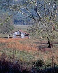 Hay Barn | Obraz na stenu