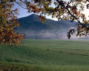 Cades Cove | Obraz na stenu