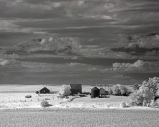 Nebraska Farm | Obraz na stenu