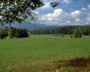 Cades Cove II | Obraz na stenu