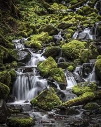 V Olympic NP | Obraz na stenu