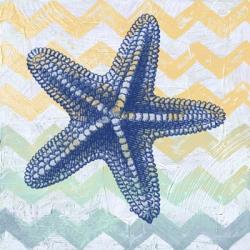 Chevron Star Fish | Obraz na stenu