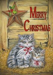 Cats in Barn - Merry Christmas | Obraz na stenu