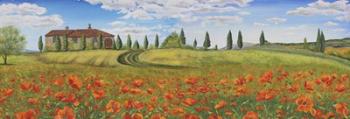 Tuscan Poppies | Obraz na stenu