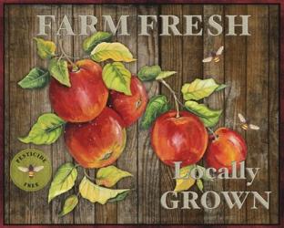 Farm Fresh III | Obraz na stenu