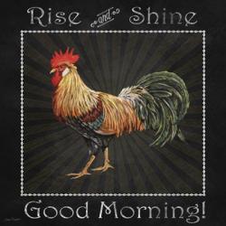 Good Morning Rooster II | Obraz na stenu