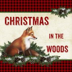 Christmas in the Woods - Fox | Obraz na stenu