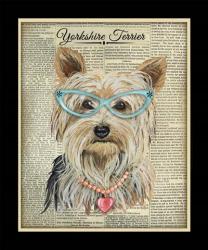 Yorkshire Terrier | Obraz na stenu