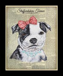 Staffordshire Terrier | Obraz na stenu