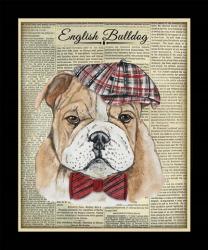 English Bulldog | Obraz na stenu