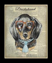 Dachshund | Obraz na stenu