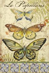 Vintage Wings - Le Papillons | Obraz na stenu