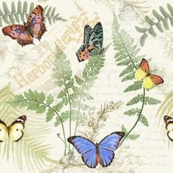 Butterflies In The Garden | Obraz na stenu