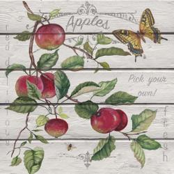 Red Delicious Apples | Obraz na stenu