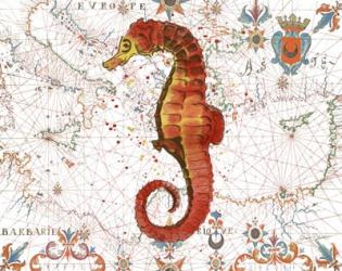 Nautical Treasures-I | Obraz na stenu