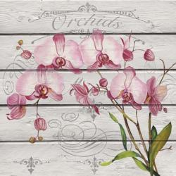 Pink Orchids | Obraz na stenu