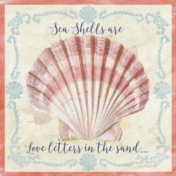 Sea Shells  -  A | Obraz na stenu