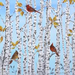 Cardinals Among The Birch  -  B | Obraz na stenu