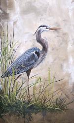 In The Reeds - Blue Heron - A | Obraz na stenu