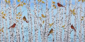 Cardinals Among The Birch | Obraz na stenu