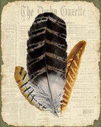 Elegant Feather - D | Obraz na stenu