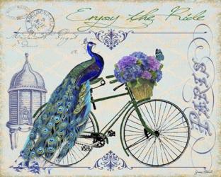 Peacock On Bicylce I | Obraz na stenu