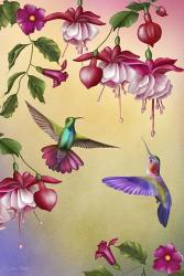 Fuchsias & Hummingbirds | Obraz na stenu