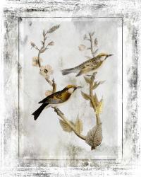 Birds With Class - C | Obraz na stenu