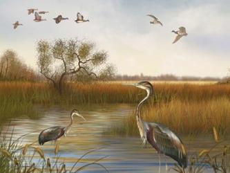 The Great Marsh - B | Obraz na stenu