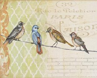 Birds Gathered On Wire - Paris Wall - A | Obraz na stenu