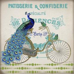 Peacock On Bicylce - E | Obraz na stenu