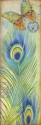 Peacock Feather Souvenirs I | Obraz na stenu