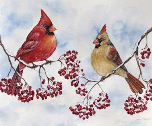 Cardinal And Winter Berries - C | Obraz na stenu