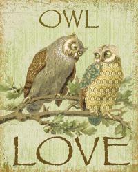 Owl Love | Obraz na stenu
