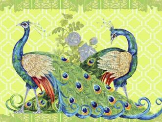 Peacock Parade | Obraz na stenu