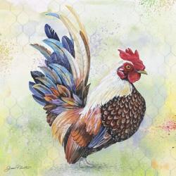 Watercolor Rooster - A | Obraz na stenu
