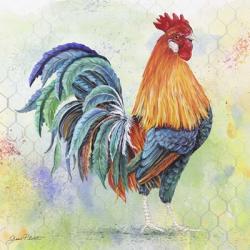 Watercolor Rooster - B | Obraz na stenu
