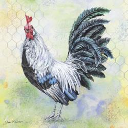 Watercolor Rooster - C | Obraz na stenu