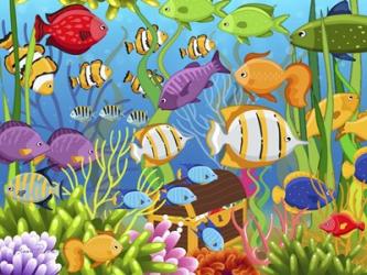 Colorful Sea Life | Obraz na stenu