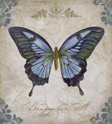 Bleu Papillon - A | Obraz na stenu