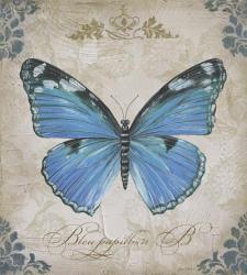 Bleu Papillon - B | Obraz na stenu