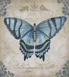 Bleu Papillon - D | Obraz na stenu