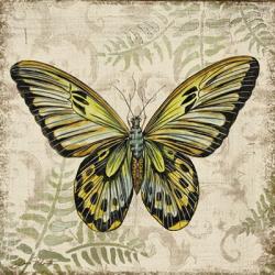 Butterfly Daydreams - A | Obraz na stenu