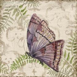 Butterfly Daydreams - B | Obraz na stenu