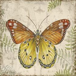 Butterfly Daydreams - C | Obraz na stenu