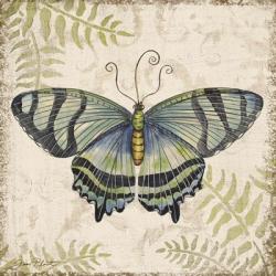 Butterfly Daydreams - D | Obraz na stenu