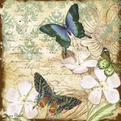 Inspirational Butterflies - A | Obraz na stenu
