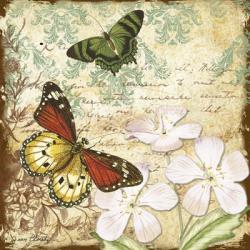 Inspirational Butterflies - B | Obraz na stenu