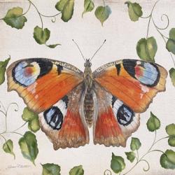 Orange Dream Butterfly | Obraz na stenu